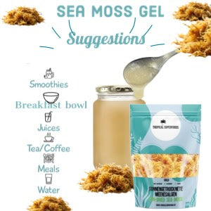 Sea Moss / Goldene Meeresalgen